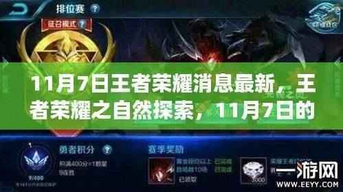 王者荣耀最新消息，自然探索之旅开启，宁静之旅启程于11月7日