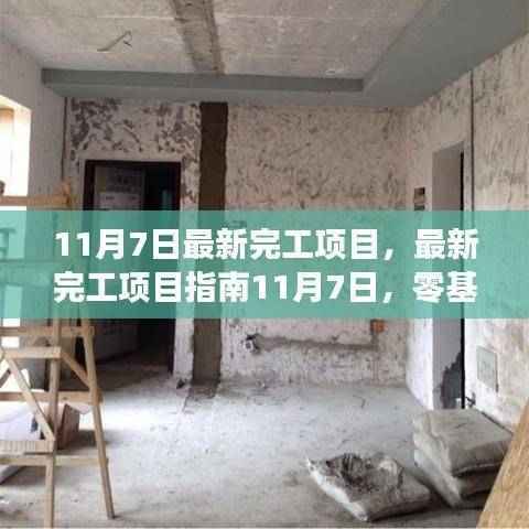 最新完工项目指南,零基础完成项目的详细步骤(11月7日最新完工)