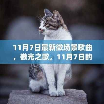微光之歌,11月7日的温馨旋律与友情故事的微场景歌曲