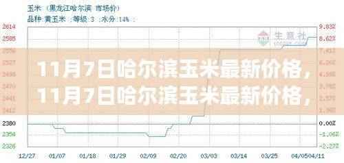 11月7日哈尔滨玉米价格动态，变化中的学习，自信与成就感的源泉