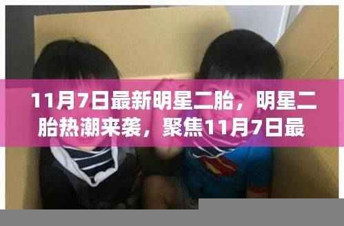 明星二胎热潮持续升温,11月7日最新动态聚焦