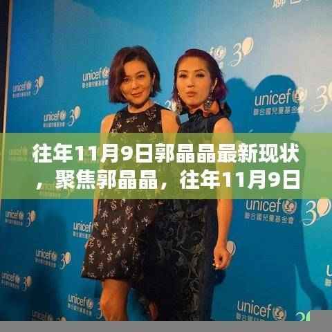 郭晶晶最新现状聚焦,往年11月9日的观点分析与探讨