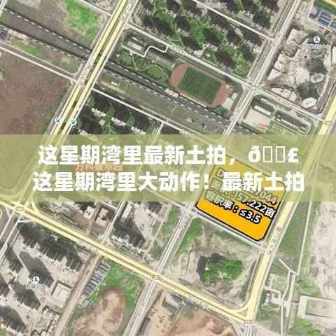 湾里最新土拍火热进行中,本周大动作,了解最新动态!