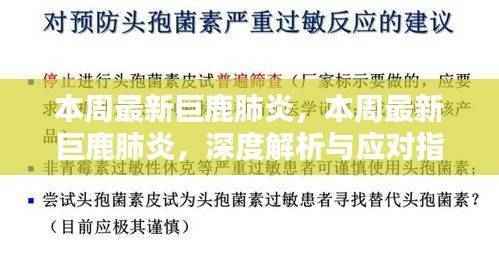 深度解析巨鹿肺炎最新动态与应对指南