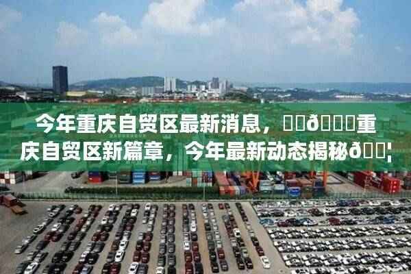 目不转睛 第46页