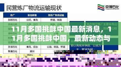 11月多国挑衅中国最新动态,深度解析与回应