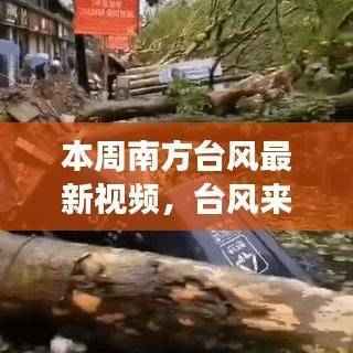 南方台风最新视频,逆风翻盘故事,学习变化助力梦想实现