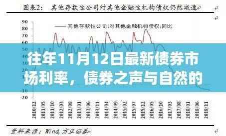 债券市场利率更新日,与自然旋律共舞的心灵之旅