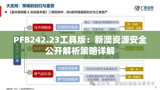 PFB242.23工具版:新澳资源安全公开解析策略详解