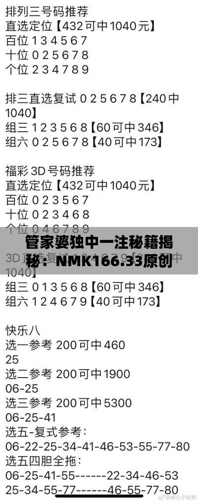 管家婆独中一注秘籍揭秘:NMK166.33原创数据详析