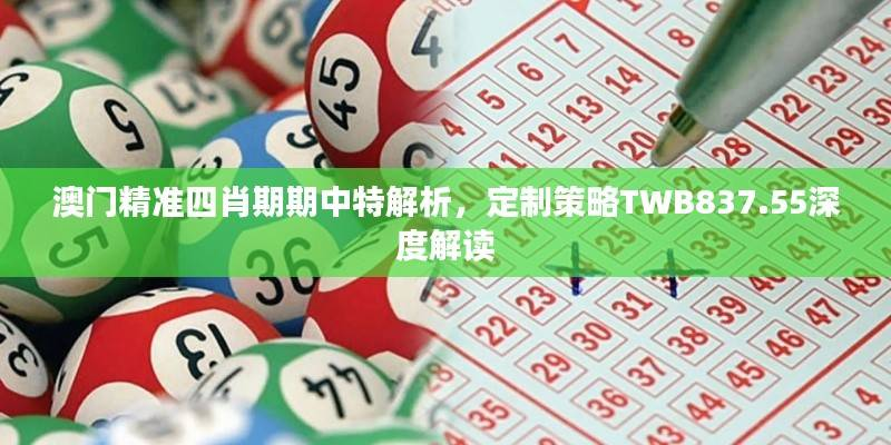 澳门精准四肖期期中特解析,定制策略TWB837.55深度解读