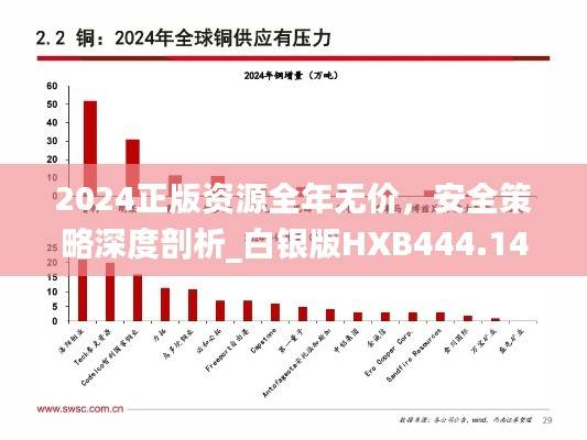 2024正版资源全年无价,安全策略深度剖析_白银版HXB444.14