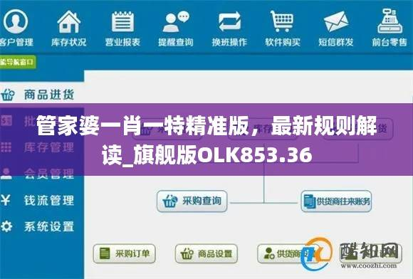 管家婆一肖一特精准版,最新规则解读_旗舰版OLK853.36