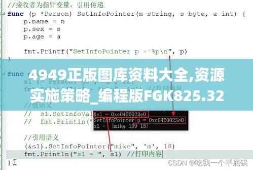 4949正版图库资料大全,资源实施策略_编程版FGK825.32