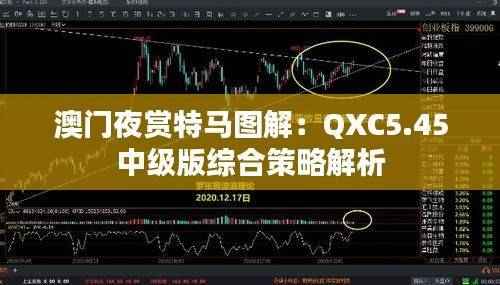澳门夜赏特马图解:QXC5.45中级版综合策略解析