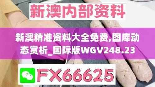 新澳精准资料大全免费,图库动态赏析_国际版WGV248.23