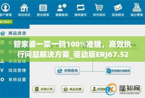 管家婆一票一码100%准确,高效执行问题解决方案_驱动版ERJ67.52