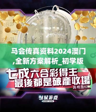 马会传真资料2024澳门,全新方案解析_初学版FPO407.99