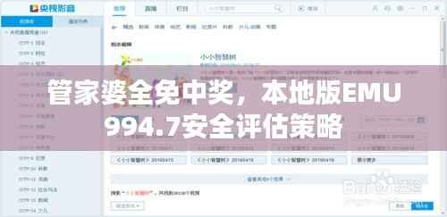 管家婆全免中奖,本地版EMU994.7安全评估策略