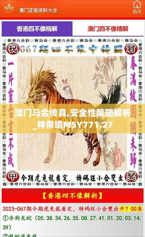 澳门马会传真,安全性策略解析_神帝境MSY771.27