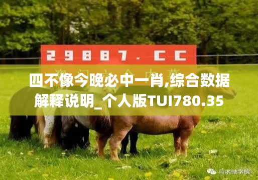 四不像今晚必中一肖,综合数据解释说明_个人版TUI780.35