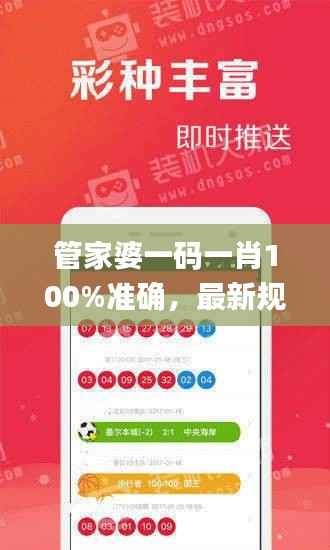 管家婆一码一肖100%准确,最新规则解析_DMX381.37未来版