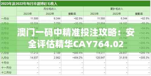 澳门一码中精准投注攻略:安全评估精华CAY764.02