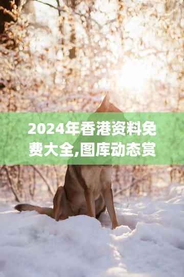 2024年香港资料免费大全,图库动态赏析_旗舰版6.82