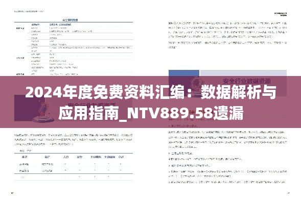 2024年度免费资料汇编:数据解析与应用指南_NTV889.58遗漏