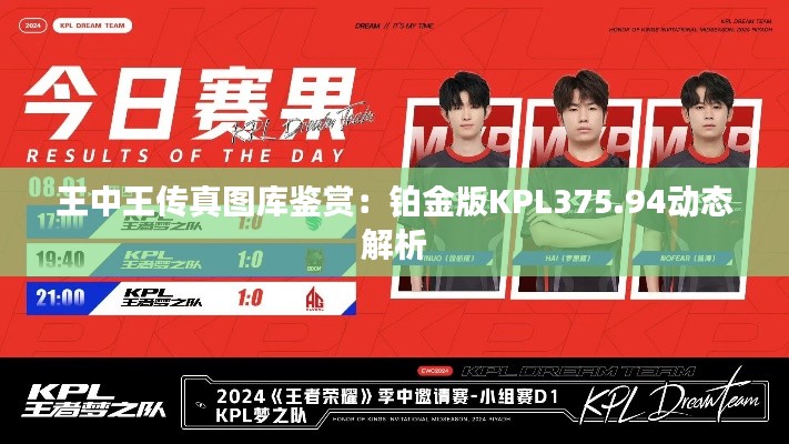 王中王传真图库鉴赏:铂金版KPL375.94动态解析
