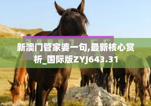 新澳门管家婆一句,最新核心赏析_国际版ZYJ643.31