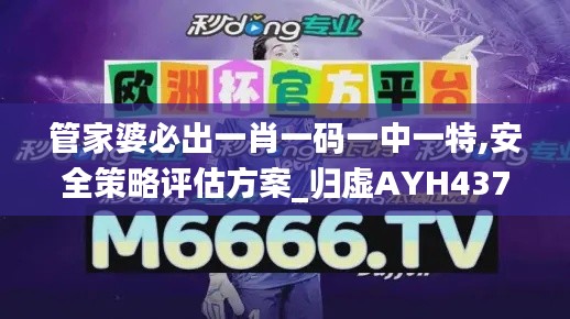 管家婆必出一肖一码一中一特,安全策略评估方案_归虚AYH437.33