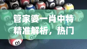 管家婆一肖中特精准解析,热门解答速览_魂银版ILY551.36