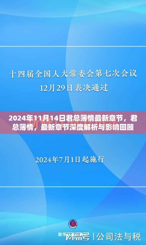 君总薄情深度解析与影响回顾,最新章节展望(2024年11月14日)