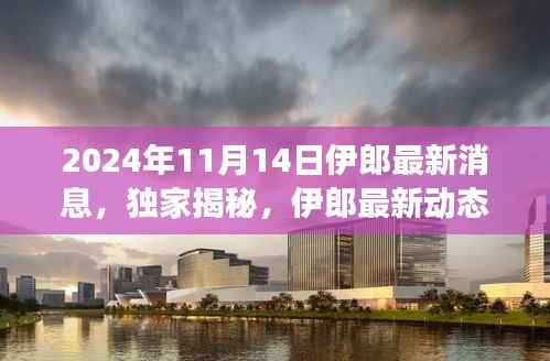 独家揭秘,伊郎最新动态深度解读——2024年11月14日最新消息速递