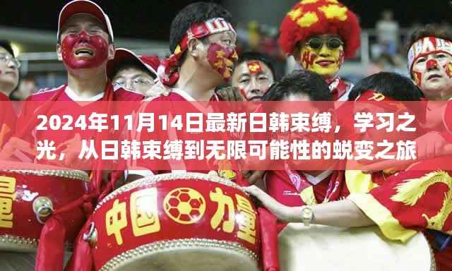 从日韩束缚到无限潜能,学习之光下的蜕变之旅(2024年1月)