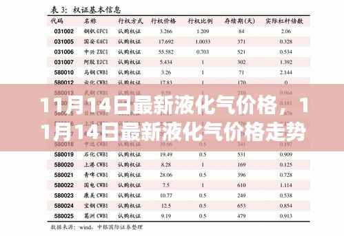 11月14日液化气价格走势分析,市场洞察与前瞻