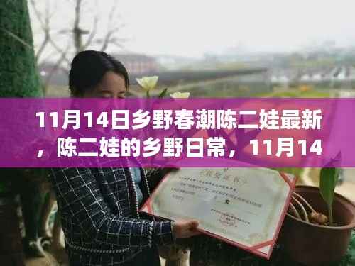 陈二娃乡野日常,11月14日的温馨趣事与友情纽带