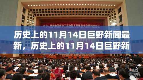 历史上的11月14日巨野新闻深度解析,从某某视角看最新事件