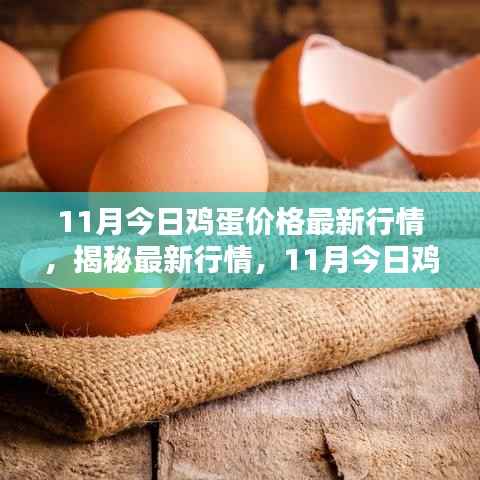 揭秘最新行情,11月鸡蛋价格走势分析与今日价格播报