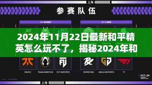 揭秘,2024年和平精英无法登陆背后的真相与全新玩法体验问题解析