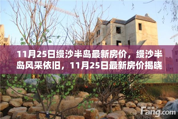 缦沙半岛风采依旧,最新房价揭晓,11月25日房价动态
