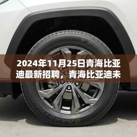 青海比亚迪未来之星招募启航,2024年全新招聘季正式开启,探寻职场新星!