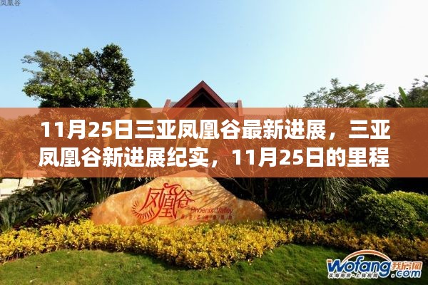 三亚凤凰谷11月25日里程碑进展纪实,最新进展与里程碑时刻的见证