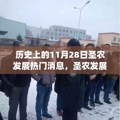 历史上的11月28日圣农发展日,温馨故事与热门消息回顾