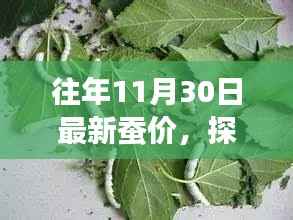 探秘11月30日蚕价秘境,小巷深处的蚕丝盛宴,最新蚕价揭晓!