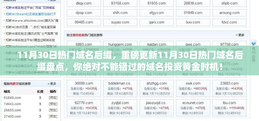 11月30日热门域名后缀大盘点,域名投资黄金时机,不容错过!