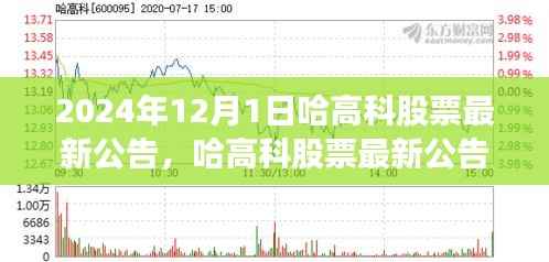 哈高科股票最新公告深度解析,产品特性、用户体验与目标用户群体分析(2024年12月版)