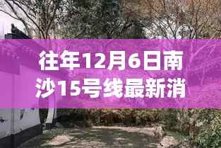 揭秘南沙十五号线背后的故事,特色小店与巷子深处的秘境探索(最新消息)