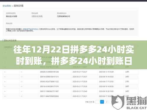 拼多多24小时到账日,温馨的购物狂欢盛宴